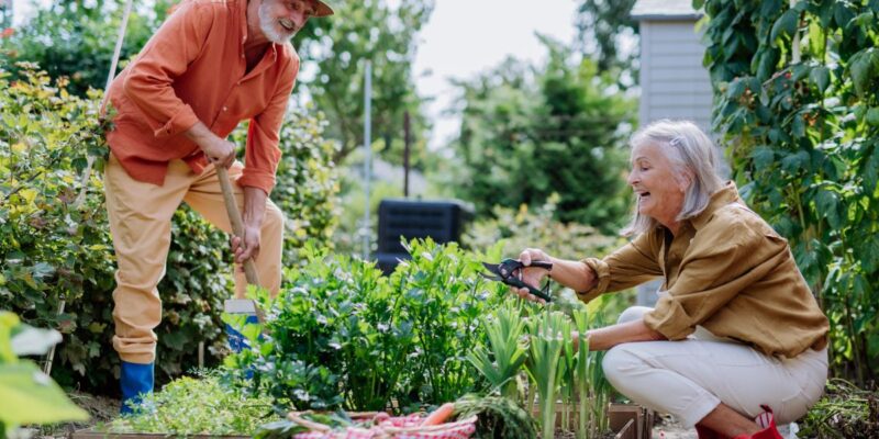 6 Top Seasonal Gardening Tips for Florida Seniors