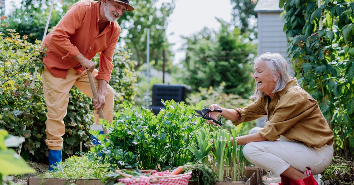 6 Top Seasonal Gardening Tips for Florida Seniors