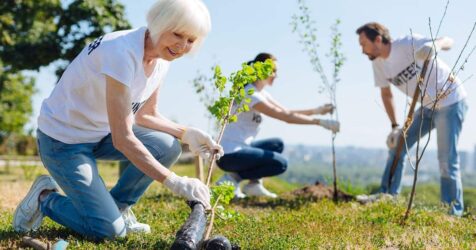 A group of retirees planting trees in a park in the Tampa Bay area.